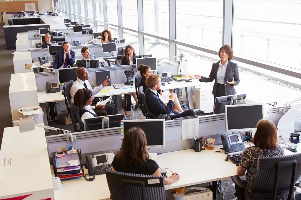 Private Office vs Open Space What Is Better for Your Business? 620 N